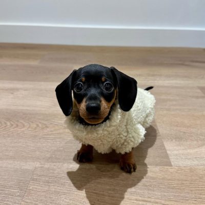 Ernie Female (4)